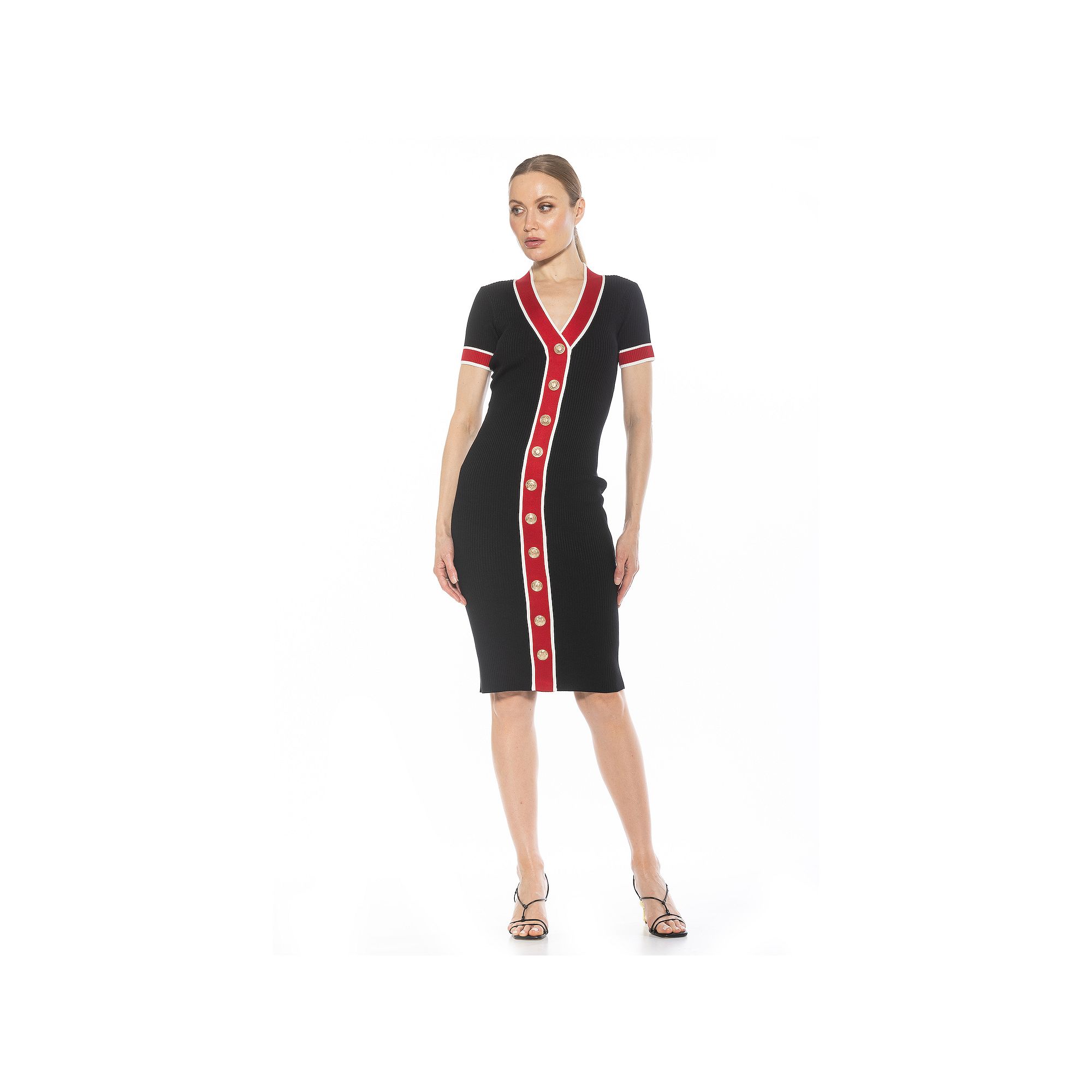 Womens ALEXIA ADMOR Otto V-Neck Ribbed Knit Button-Down Dress, Size: XS, B