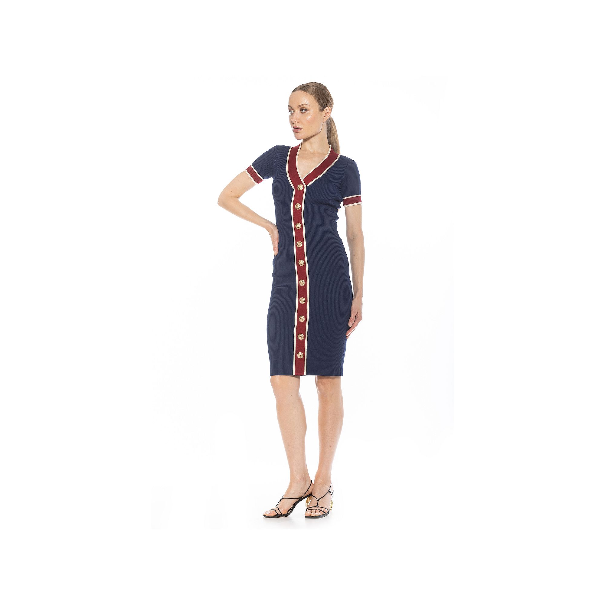 Womens ALEXIA ADMOR Otto V-Neck Ribbed Knit Button-Down Dress, Size: XS, B