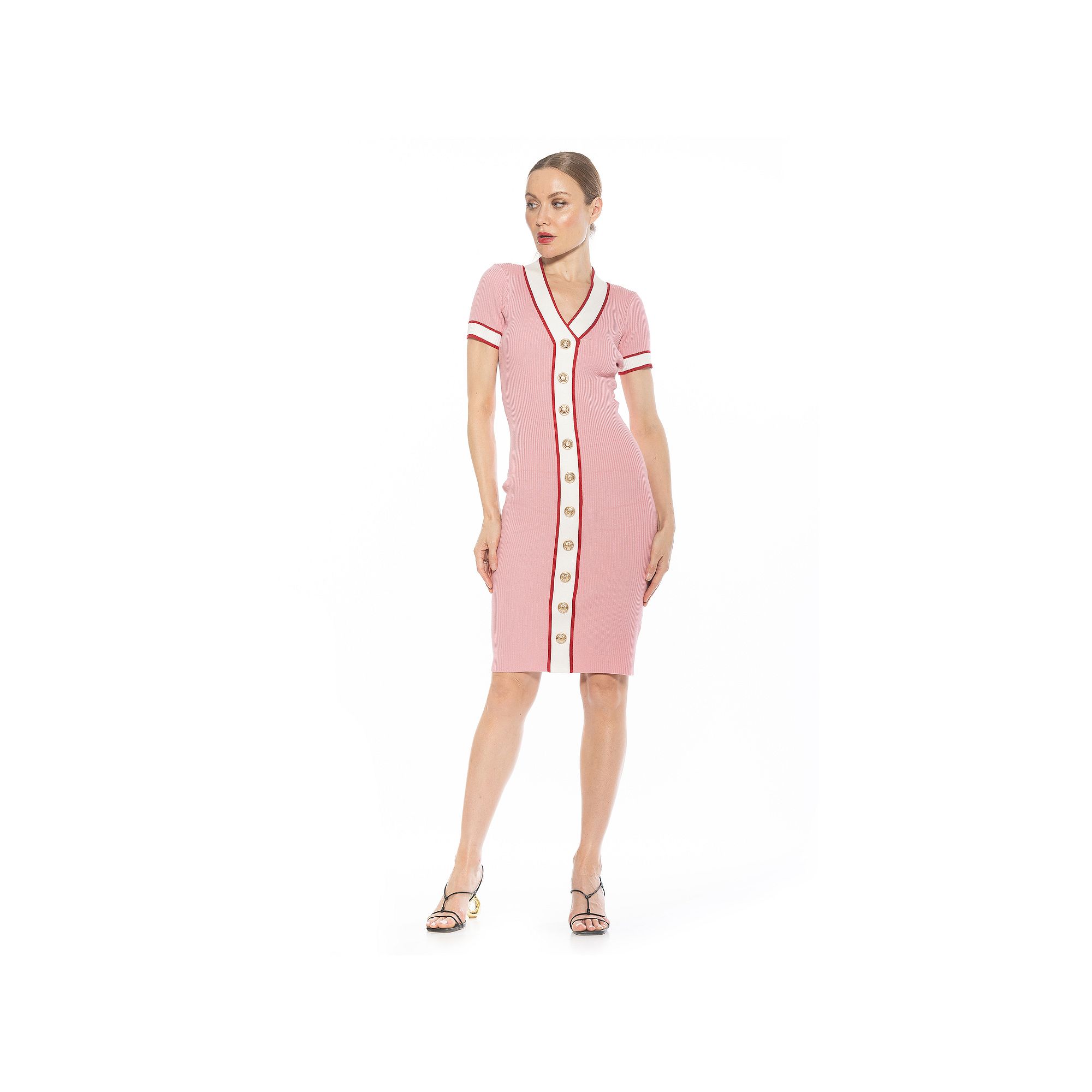 Womens ALEXIA ADMOR Otto V-Neck Ribbed Knit Button-Down Dress, Size: XS, P