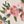 Ivory Floral