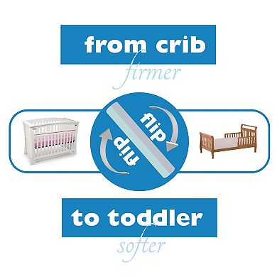 My First Crib & Toddler Flip Mattress