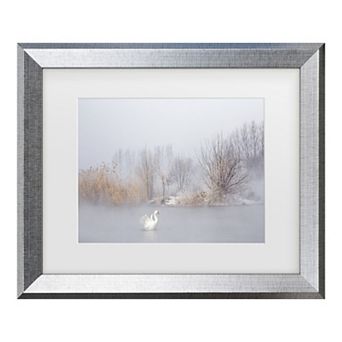 Trademark Fine Art The Winter Swan Gray Matted Framed Wall Art