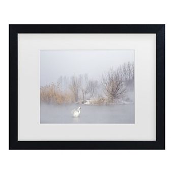 Trademark Fine Art The Winter Swan Black Matted Framed Wall Art