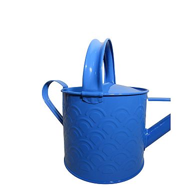 Discover Europe Made in Turkey Aras Metal 4L Watering Can
