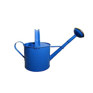 Discover Europe Made in Turkey Aras Metal 4L Watering Can