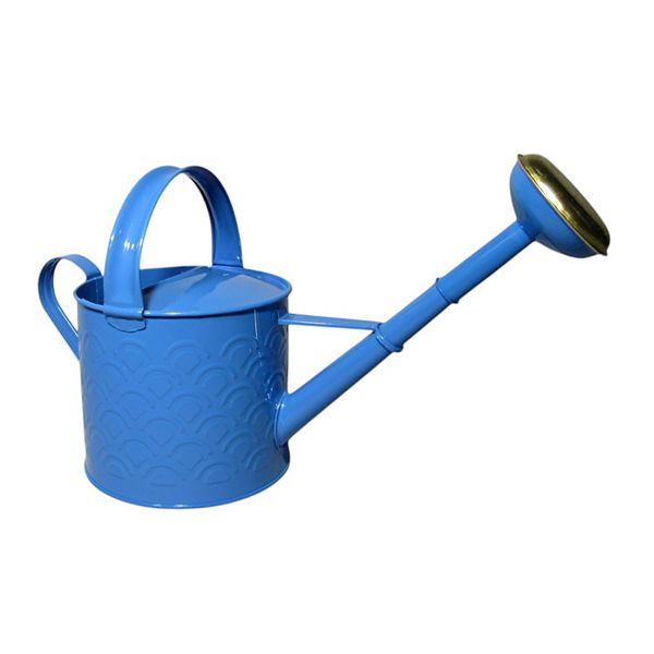 Discover Europe Made in Turkey Aras Metal 4L Watering Can - Blue
