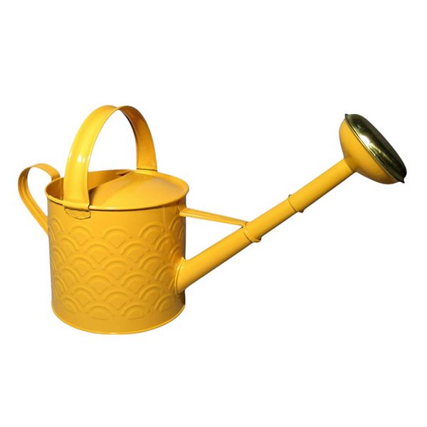 Discover Europe Made in Turkey Aras Metal 4L Watering Can - Gold