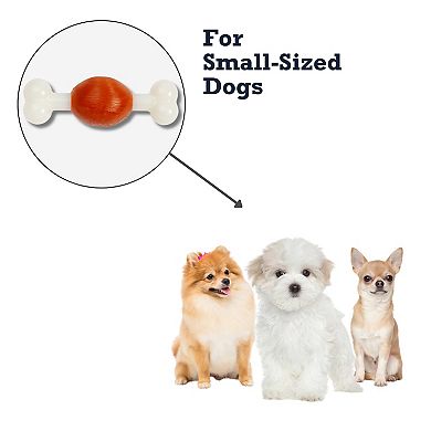 Country Living Beef Flavored Bone Dog Chew Toy Durable TPR Nylon