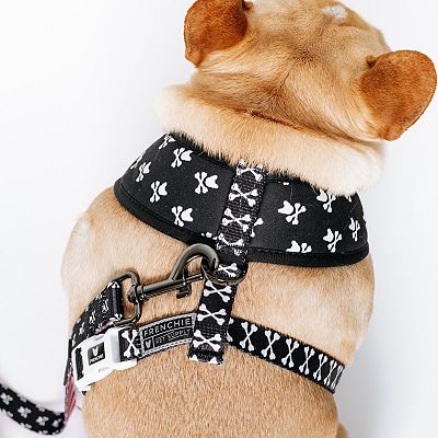 Duo Reversible Harness, Bad to the Bone