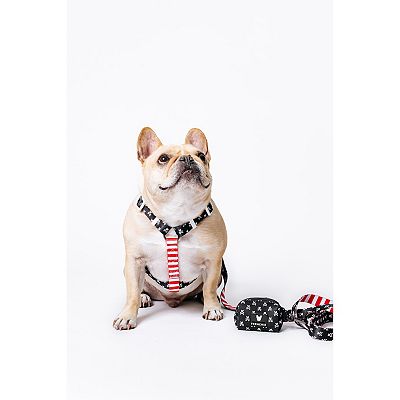 Strap Harness, Bad to the Bone