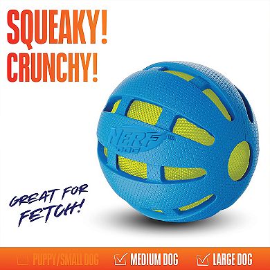 Nerf Dog 3.8" Checker Squeak Crunch Interactive Pet Toy