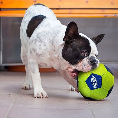 Nerf Dog 5" Squeaky Bounce Soccer Ball