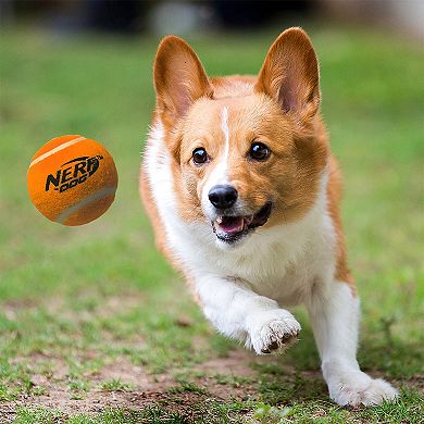 Nerf Dog Squeaky Tennis Balls 4-pk. Interactive Pet Toy