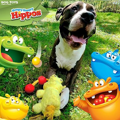 Hungry Hippo Plush Squeaky Dog Toy