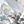 April Silver Tone