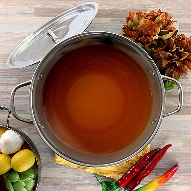 16 Quart Stainless Steel Stock Pot with Lid