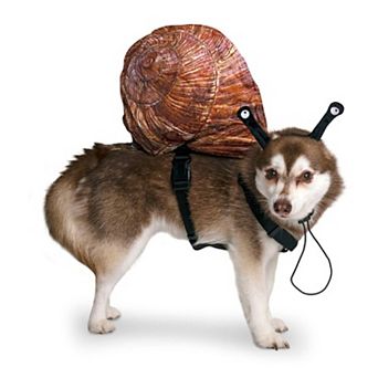 Midlee Snail Headband & Shell Dog Costume