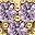 14k Gold