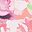 Coral Pink