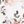 Ivory Blush