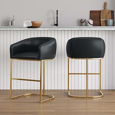 MANHATTAN COMFORT Louvre Faux Leather Upholstered 2-pc. Counter Stool Set