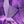 Genuine Amethyst