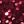 Burgundy Red