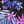 Pink Purple Palm