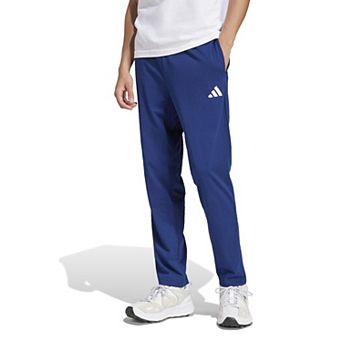 Men's adidas Essentials Small Logo Sportswear Pants