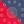 Navy Red