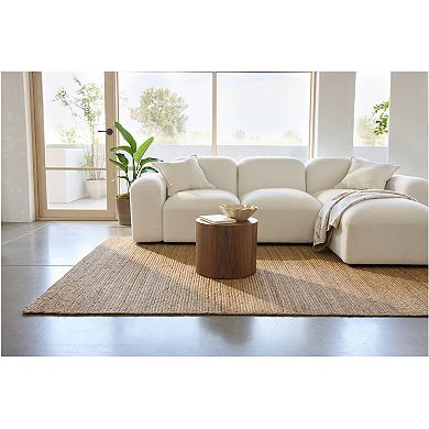 Miryana Braided Jute Area Rug