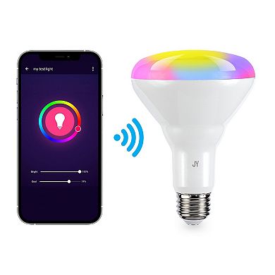 Smart Br Dimmable Light Bulb - Dimmable Color Changing Led (pack Of 2)