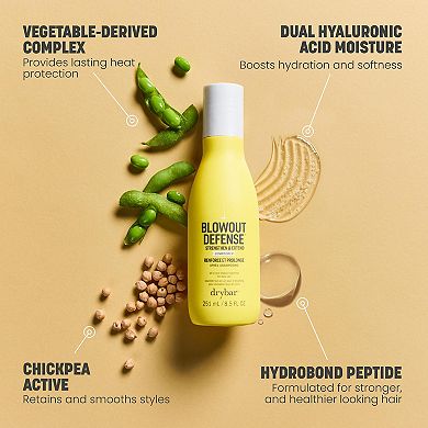Blowout Defense Strengthen & Extend Conditioner