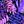 Purple Palm Leaf
