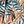 Animal Palm Print