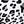 Little Leopard