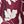 Claret Painted Petals