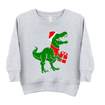 Dino Present Youth Ultra-Soft Graphic Sweatshirt