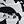 Black White Floral