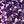 Purple And Gold