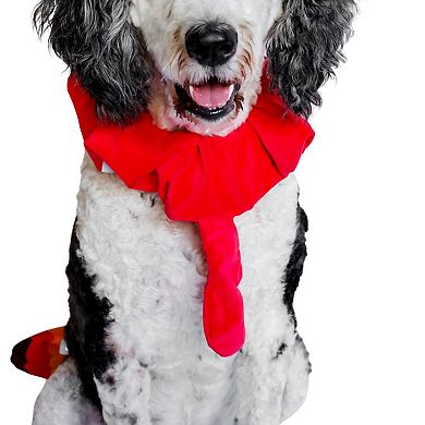 Midlee Turkey Beard & Tail Thanksgiving Dog Costume