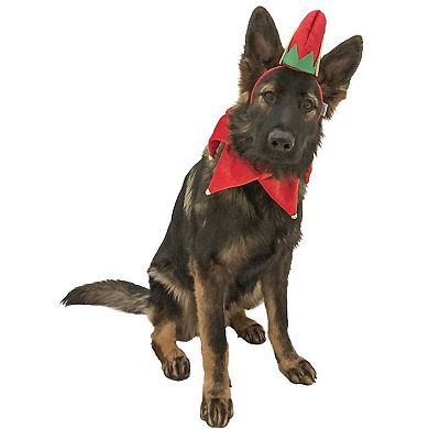 Midlee Elf Dog Hat With Bell Neck Band Dog Costume