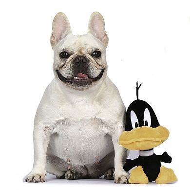 Daffy Duck Big Head Plush Dog Toy