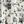 Ivory Black Floral