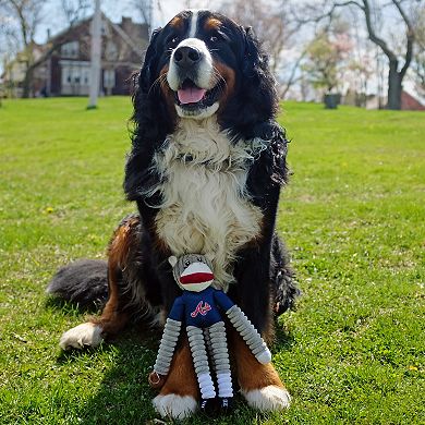 MLB Atlanta Braves Pet Sock Monkey