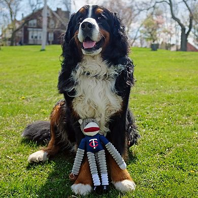 MLB Minnesota Twins Pet Sock Monkey