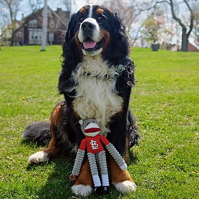 MLB St. Louis Cardinals Pet Sock Monkey Dog Toy
