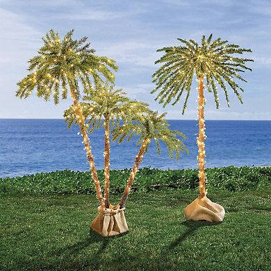 BrylaneHome Pre-Lit 3-Branch Palm Tree