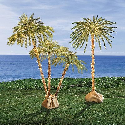 BrylaneHome 6' Pre-Lit Single Palm Tree