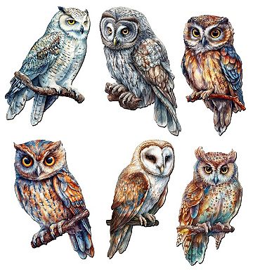 Night Owls Decorative Wooden Magnets Set of 6 by G. Debrekht